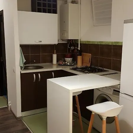 Garsoniera Cocheta In Centrul Vechi Al Brasovului *